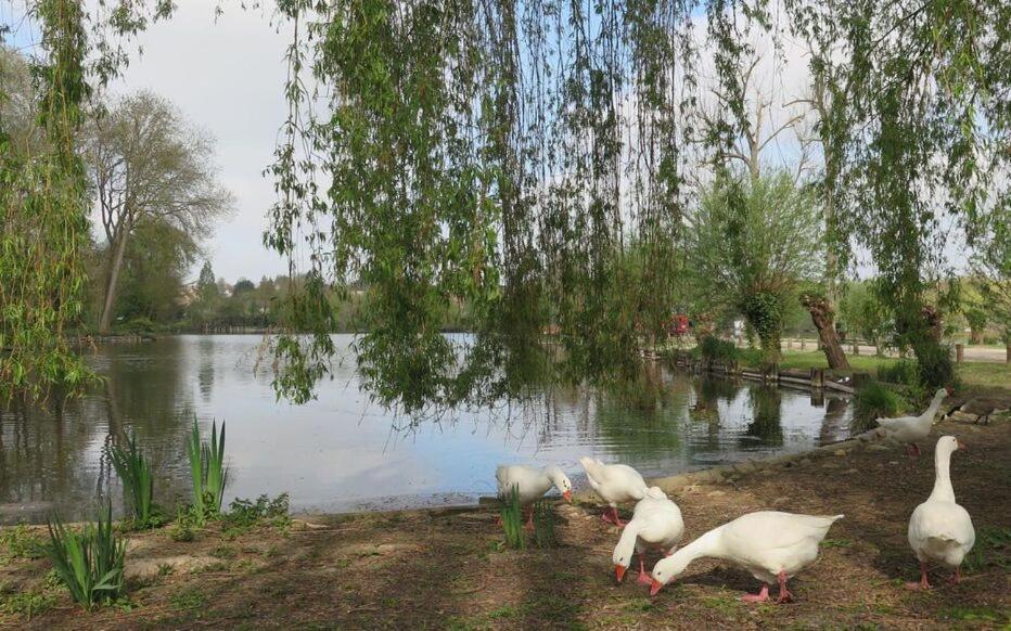 Le Clos Des Marais De Fontenay ภายนอก รูปภาพ